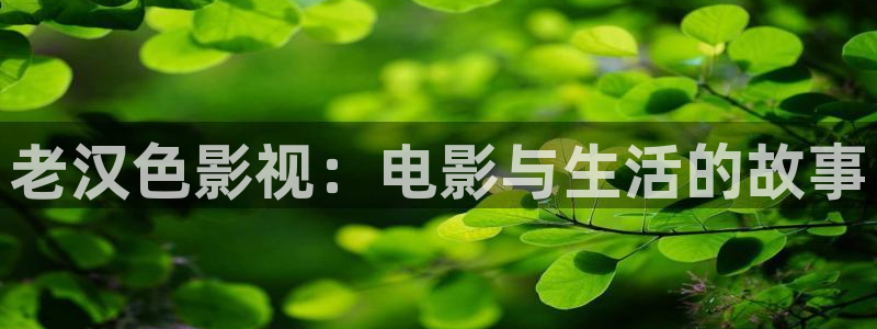 星空影院动漫在线观看免费：老汉色影视：电影与生活的故事
