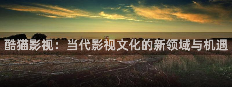 星空影视院：酷猫影视：当代影视文化的新领域与机遇