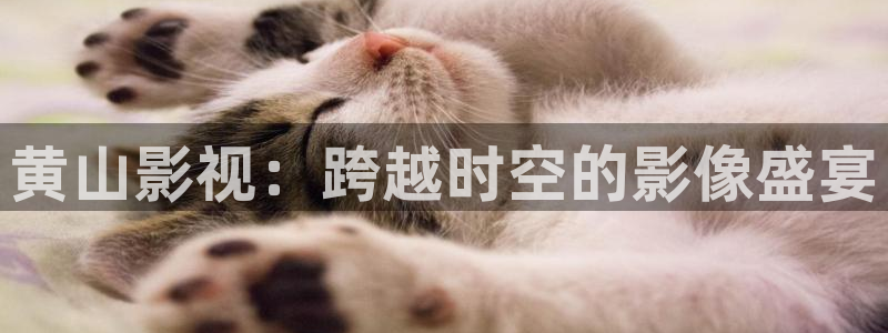 星空影院在线观看免费观看电视剧最