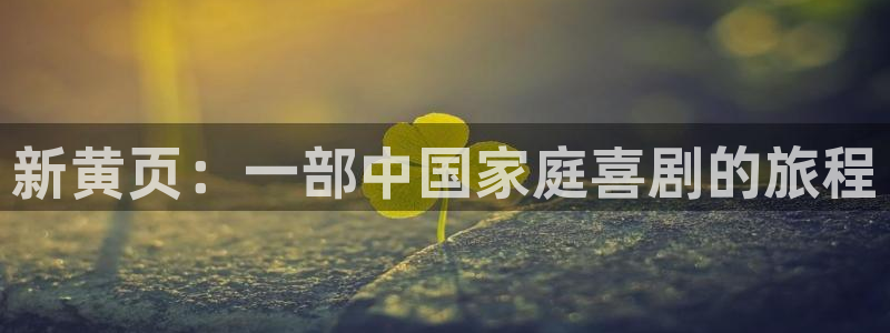 星空影院手机在线：新黄页：一部中国家庭喜剧的旅程